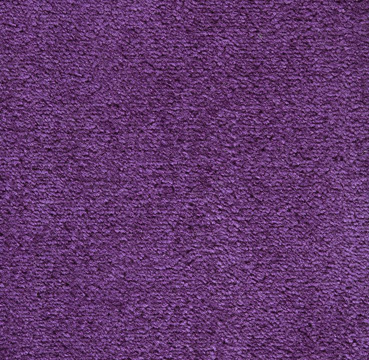 Show Velour - Purple