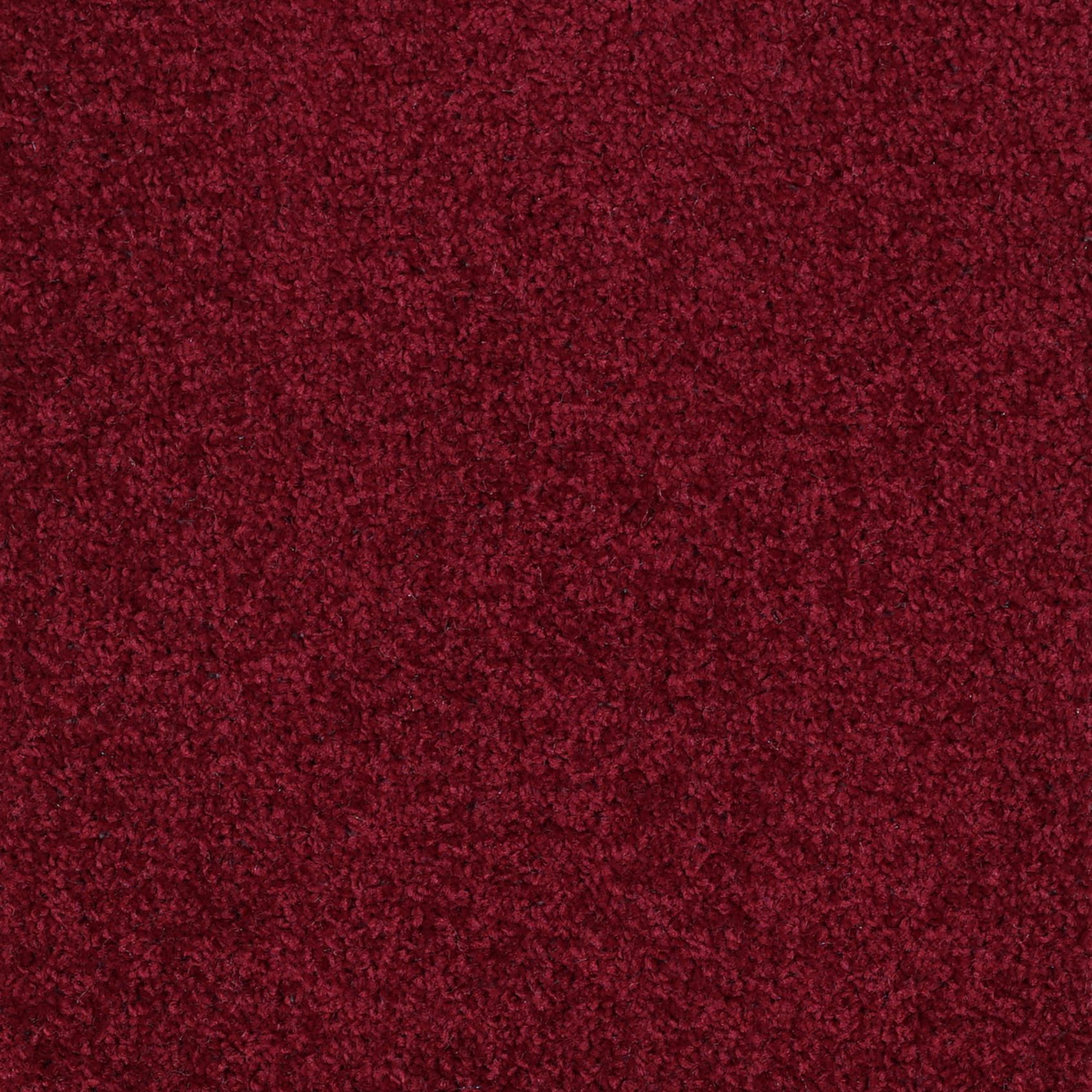 Show Velour - Bordeaux